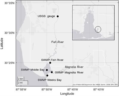 Abrupt chlorophyll shift driven by phosphorus threshold in a small subtropical estuary